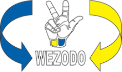 1981: WeZoDo